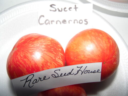 Detalles acerca de  / Sweet carnernos Semillas De Tomate mostrar título original S//h ver nuestra tienda! Peine