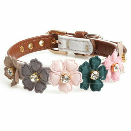 Leather Pet Dog Collar Safety Adjustable Puppy Cat Necklace For Dogs Pet Collar