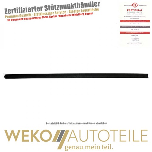 LEISTE HINTEN links für Polo 2203327 Diederichs