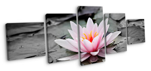Water Lily Floral Flower Pink Grey Canvas Wall Art Picture Home Decoration