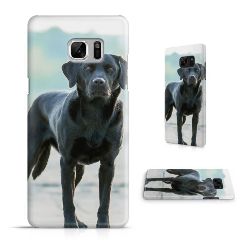 Labrador Retriever Perro 10 Teléfono Estuche Cubierta para Samsung Galaxy S series 
