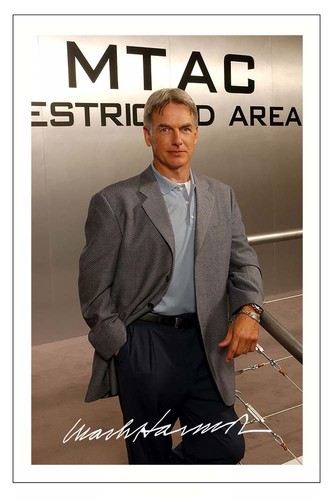 MARK HARMON NCIS AUTOGRAPH SIGNED PHOTO PRINT LEROY JETHRO GIBBS MARK HARMON NCIS AUTOGRAPH SIGNED PHOTO PRINT LEROY JETHRO GIBBS