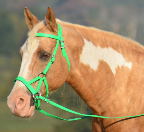 PONY SIZE Any Color SIDEPULL Bitless BRIDLE & REINS made w Beta Biothane 