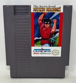 NES Nintendo - Flying Dragon The Secret Scroll w/ Manual & Dust Cover - Tested