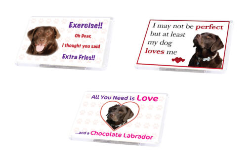 Funny Dog CHOCOLATE LABRADOR Fridge Magnet Various Designs Ideal Present 