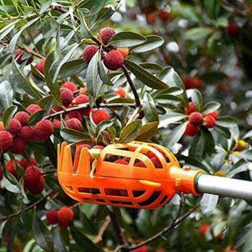 Plastic Orange Fruit Picker without Pole Fruit Catcher Gardening Pick Tools V7P5 