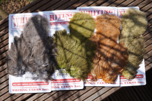 Whiting BRAHMA HEN Softhackle /& Chickabou mottled gray dyed 9 Farben Auswahl