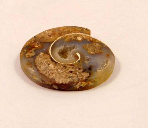 100/% Natural Fossil Snail Druzy Agate Cabochon Gemstone NG7331-7340,7411-7449