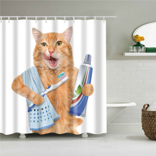 Mildew Proof Bath Decor, Kitten Shower Curtain