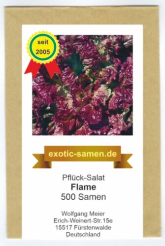 Pflücksalat-Lettuce-SALAD-Flame 500 seeds