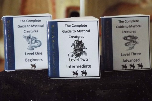 Mini HALLOWEEN Witches /& Wizards Mystical Creature Book Dollhouse 1:12 scale
