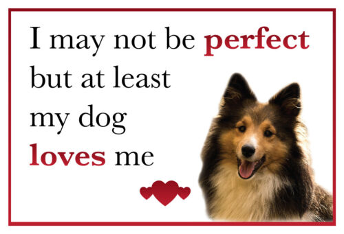 Funny My Dog Loves Me SHELTIE Dog Vinyl Car Van Sticker Pet Animal Lover