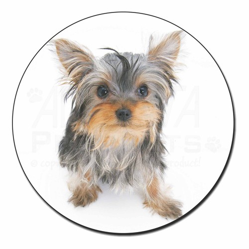 AD-Y7FM Yorkshire Terrier Dog Fridge Magnet Stocking Filler Christmas Gift
