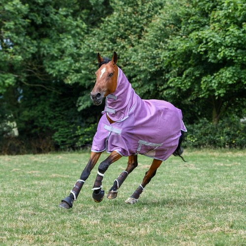 Bucas Freedom Fly Sheet Full Neck-Mauve