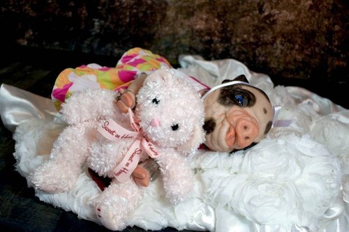 Customized Reborn Pig /"Fawnn/" powderscented/&magnetic pacifier