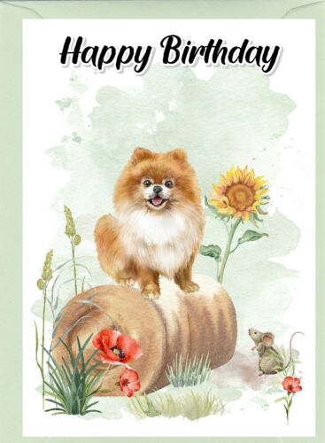 4"x 6" by Starprint Pomeranian Dog Birthday Card blank inside 