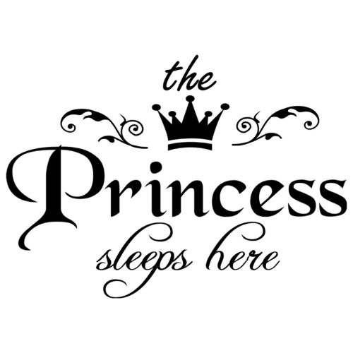 princess sleeps baby kids girl quote wall stickers art room removable decals UK 