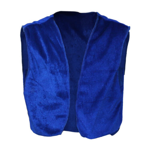 Adults Blue Genie World Book Day Fancy Dress Waistcoat Peter Pirate Joker