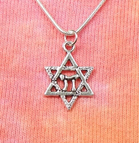 Chai in Star of David Necklace, Judaica Jewish Life Symbol Magen Charm Pendant