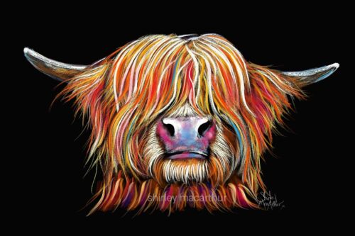 Details about  / HIGHLAND COW PRINTS of Original Painting /' CHaRMeR /' by Shirley MacArthur