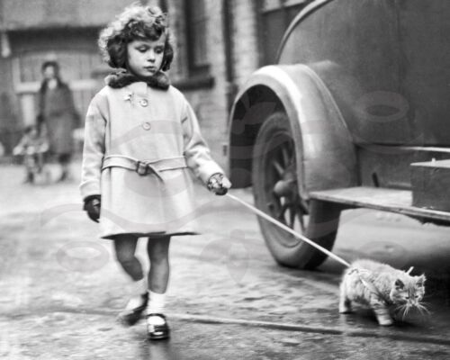 Vintage Photo//Print//1940/'s//16x20 //Black and White//Child//Girl walking her cat