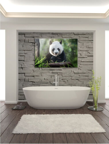 Adorable petit panda mange Bambou toile déco art pression 