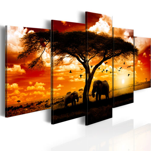 ELEPHANT Canvas Print  Framed Wall Art Picure Photo Image 0051378 