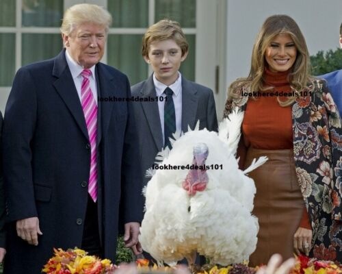 PRESIDENT Donald Trump Photo 8x10 Melania Barron Turkey Pardon 2017 USA
