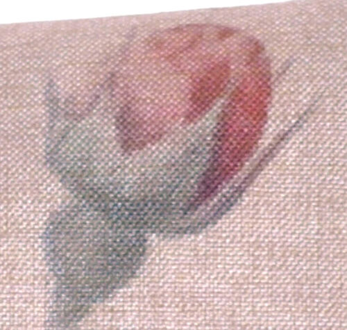 Kissenhülle Kissenbezug "Rosa gallica" 45 x 45 cm Canvas-Stoff 
