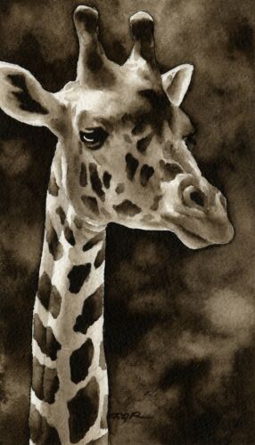 Giraffe Art Print Sepia Watercolor Wildlife 11 x 14 by Artist DJR
