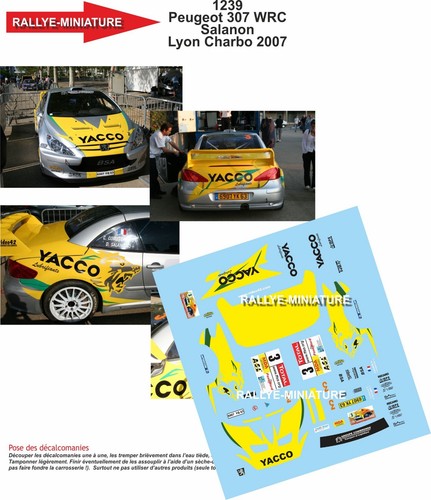 DECALS 1//24 REF 1239 PEUGEOT 307 WRC SALANON RALLYE LYON CHARBONNIERES 2007