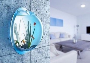 Wall Mount Fish Bowl Acrylic Aquarium Tank Beta Goldfish