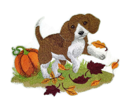 Colors In Fall  Embroidered Iron On Patches
