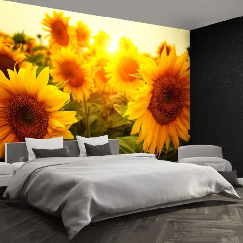 Non woven Wall Mural Photo Wallpaper Poster Picture Image Sunflowers 