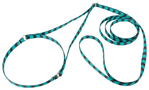 Country Brook Design® Martingale Dog Show Lead