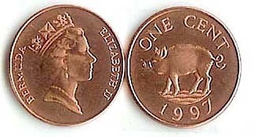 Bermuda 1 Cent Wild Boar Pig Animal Wildlife Coin