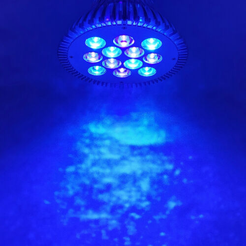 36W Cyan Blue 450nm 470nm 500nm LED Lamp Spot Light Bulb PAR38 Plant Aquarium 