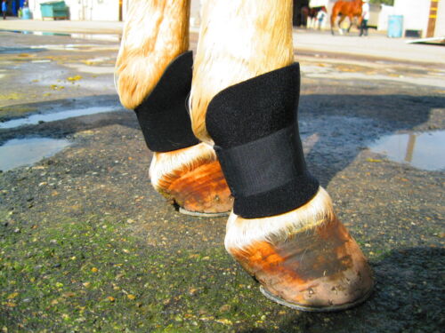 Bedsore Boots Horses-Vet recommended You are buying ONE PAIR of boots. 