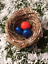 Icelandic Folklore birds nest ornament eggs Christmas Ornament for tree Broncos