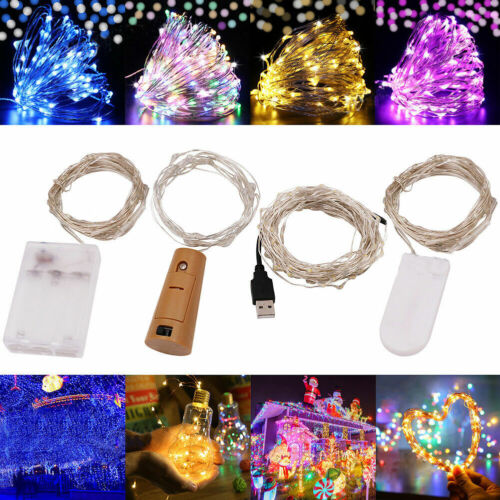20/50/100 LED Fairy String Light Battery/USB Micro Rice Wire Party Xmas Decor Bu