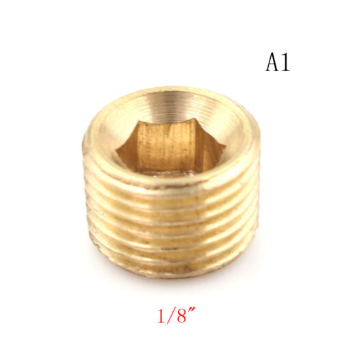 Brass 1/8" 1/4" 3/8" 1/2" NPT Brass Internal Hex Thread Socket Pipe Plug O_ch 