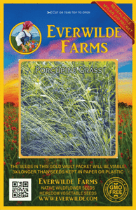 30 Porcupine herbe Native Herbe Graines-everwilde Farms Mylar Graines Paquet