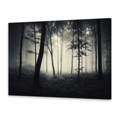 Leinwand-Bilder Wandbild Druck auf Canvas Kunstdruck Nebliger Wald 