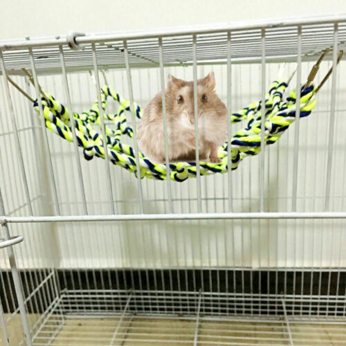 Columpio para loro mascota pájaro NET Escalera Colgante Hamaca Perca Juguetes Hamster Jaula De Cuerda