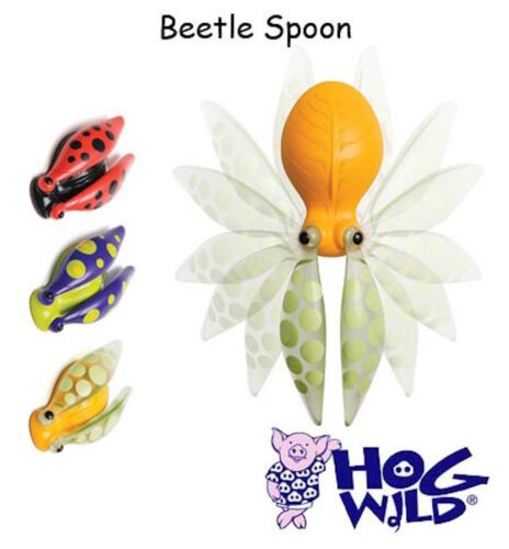 Hog Wild Beetle Spork or Spoon Choice of Color Lunch Travel//Camping Utensil Box