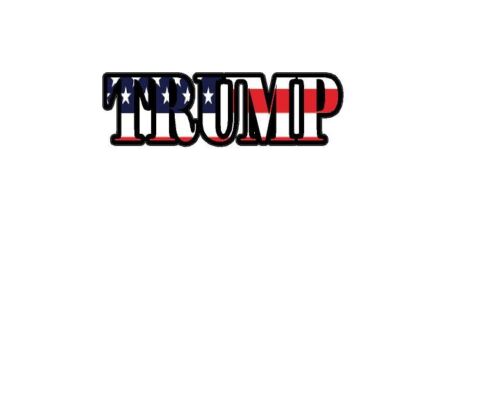 PACK OF 21 Trump Hard Hat Decal Made From High Quality Vinyl