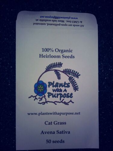 50 seeds per pack Avena Sativa Organic common oats Cat Grass Seed Pack 