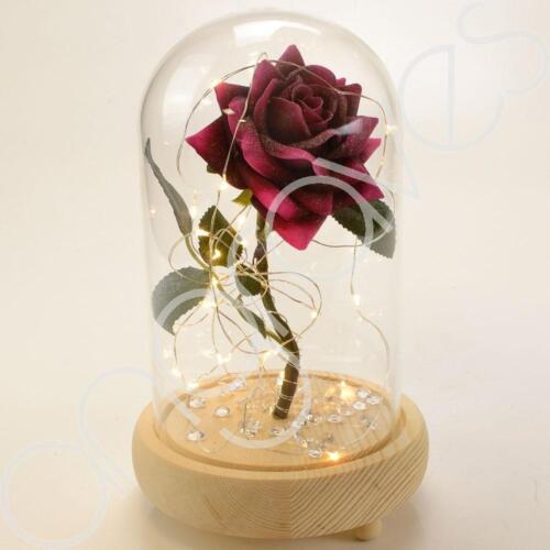 Beauty & the Beast Inspired Enchanted Rose in Glass Dome Bell Jar with Lights 