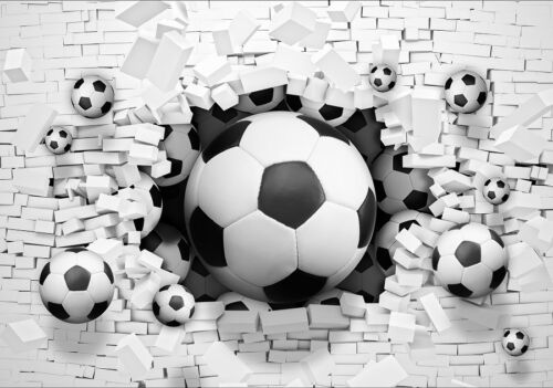 FOOTBALL sport ball stadium soccer player WALL MURAL photo wallpaper DECOR