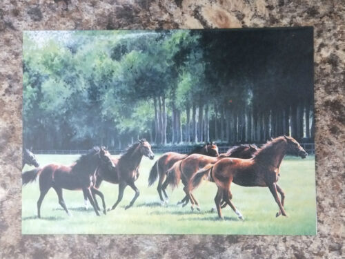 LARGE FINE ART GREETINGS CARD HORSE DESIGNS BLANK INSIDE FOR ANY OCCASION GC 48